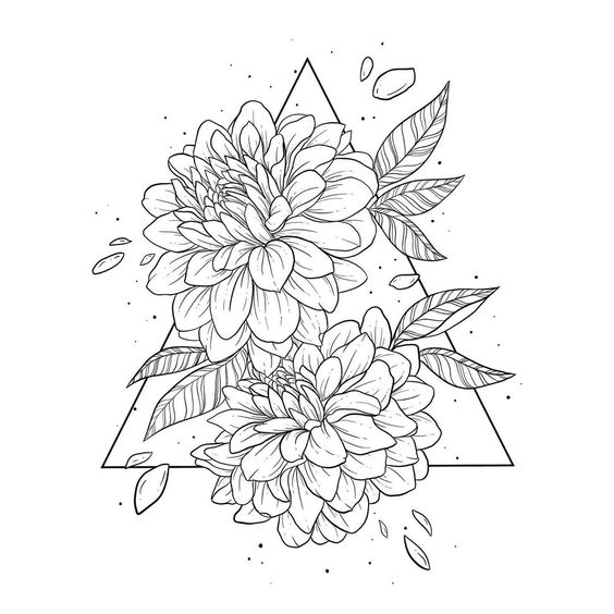 dalia, dalie, geometric, triunghi, floare, flori dahlia, dahlias, geometric, geometry, triangle, flower, flowers