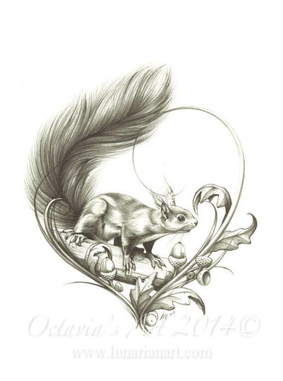 Tattoo veverita, inima, ghinde, animal