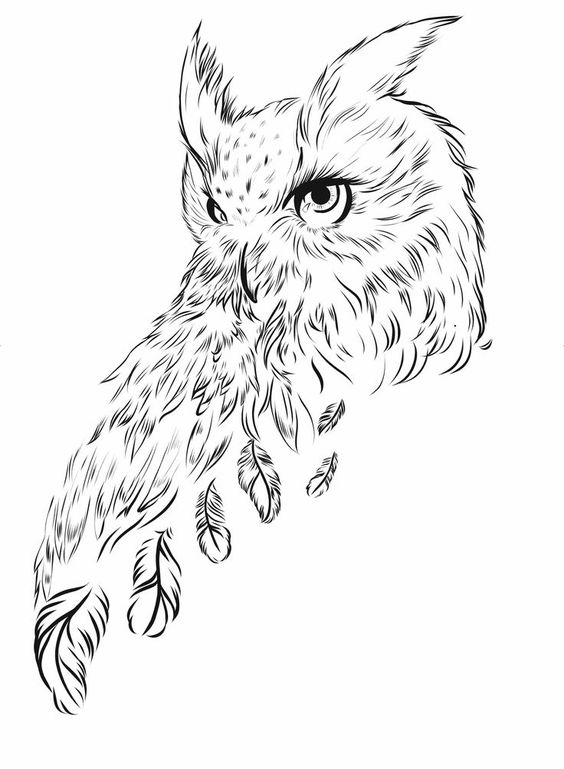bufnita, pene, desen, pasare  owl,feathers, draw, bird