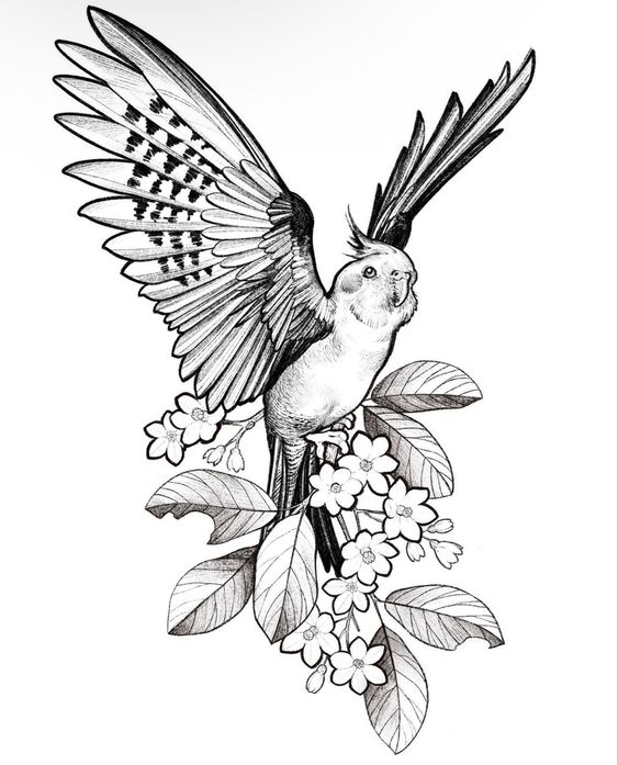 Tattoo papagal, frunze, flori, aripi, pene, pasare