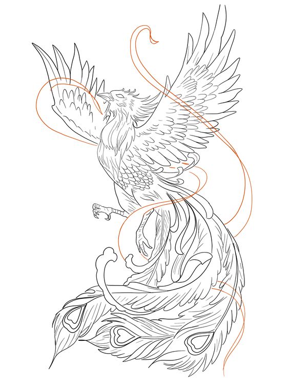 Tattoo phoenix, renastere, aripi, pasare