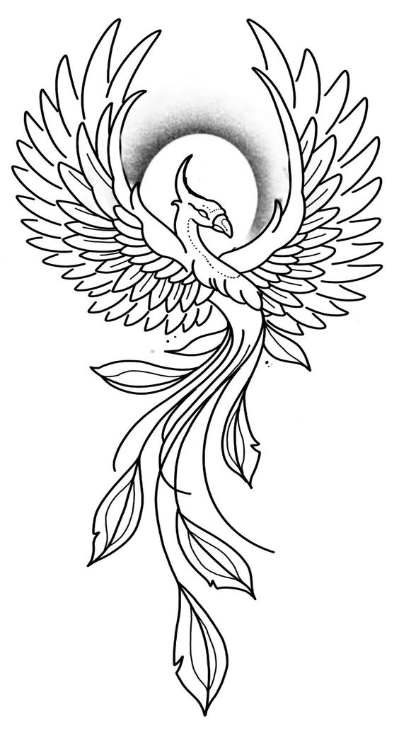 Tattoo phoenix, renastere, aripi, pasare