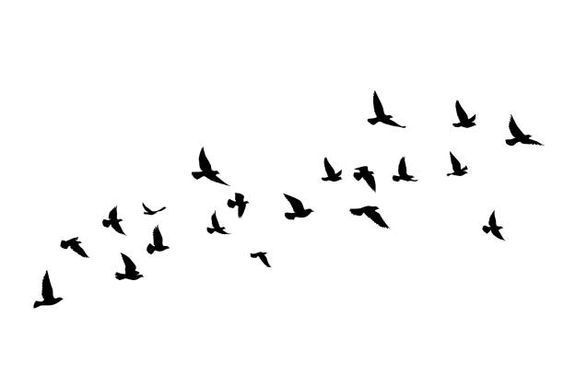 pasari migratoare, stol, minimalist, pasare  migratory birds, flock, minimalist, bird