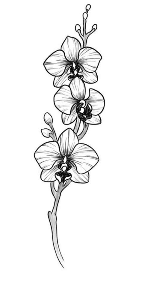 Tattoo orhidee, floare, flori