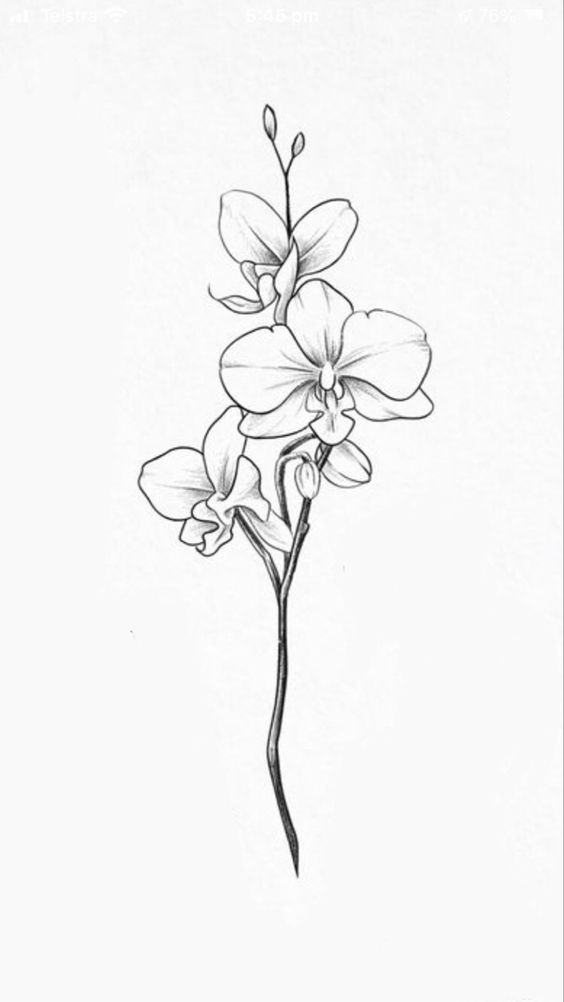 Tattoo orhidee, floare, flori
