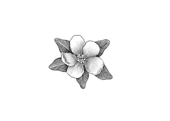 floare mar, hasura, floare, flori apple blossom, etching, flower, flowers