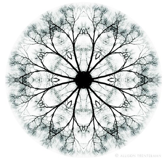 Tattoo fractali, copaci, forme, forma, abstract