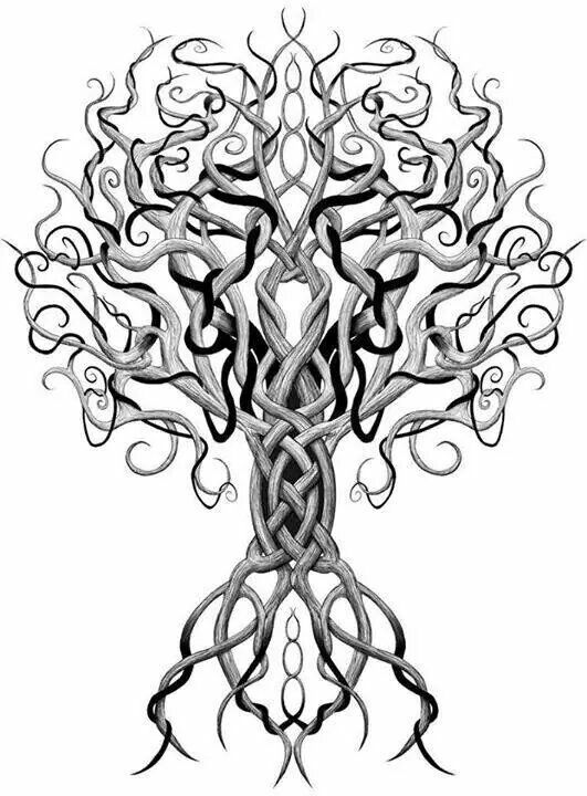 celtic, celtice, cultural, cultura, copacul vietii, copac, simbol celtic, cultural, culture, tree of life, tree, symbol