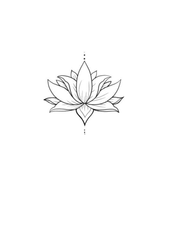 lotus, floare, flori lotus, flower, flowers
