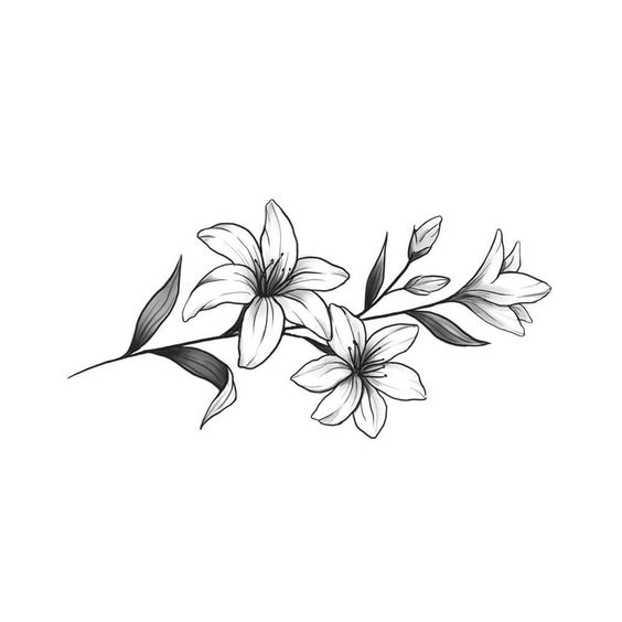 crin, crini, floare, flori lily, lilies, flower, flowers